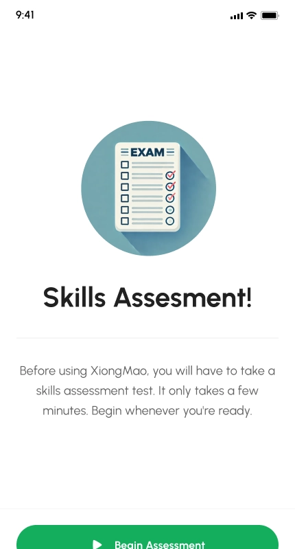 Screenshot: Skill Assessment